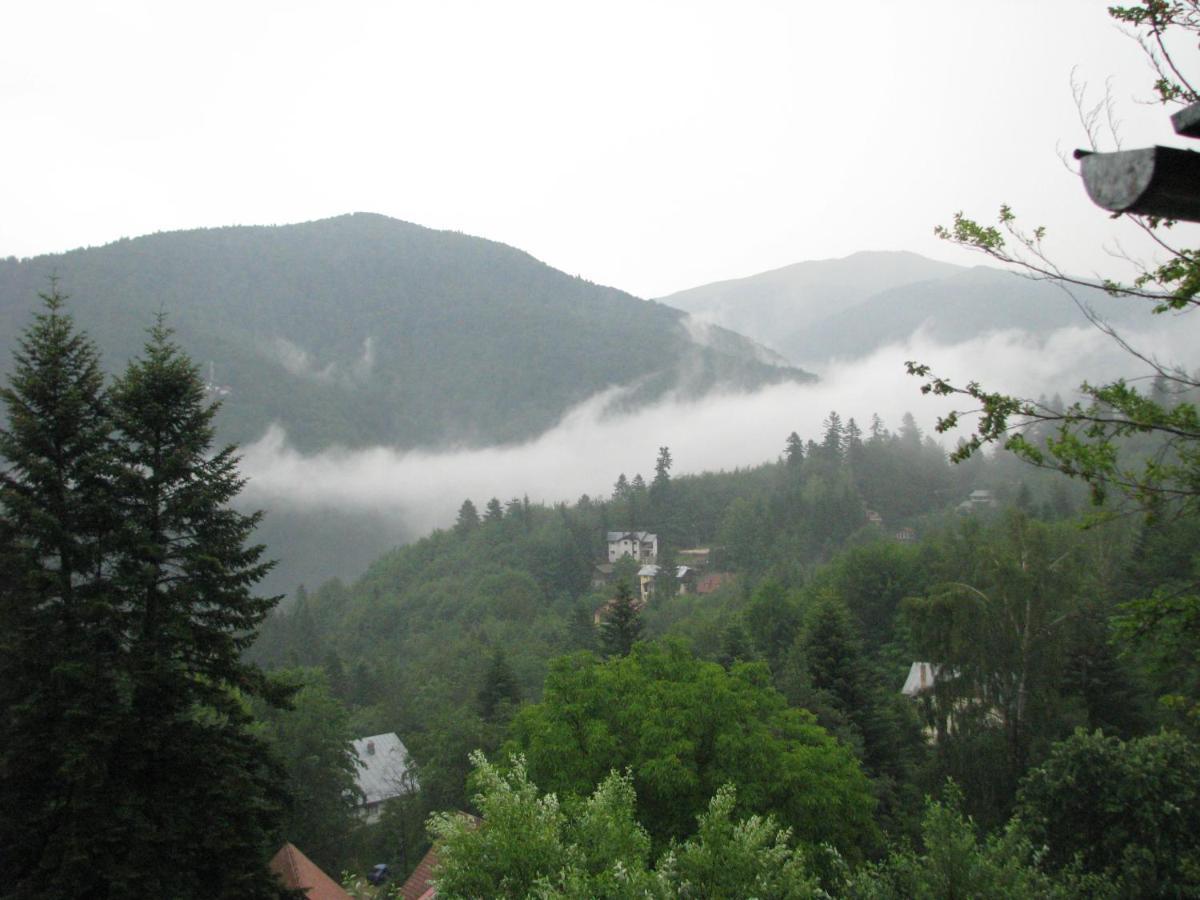 Grandpa'S Hidden Crib, 6 Bedroom, Pet Friendly Sinaia Exterior photo