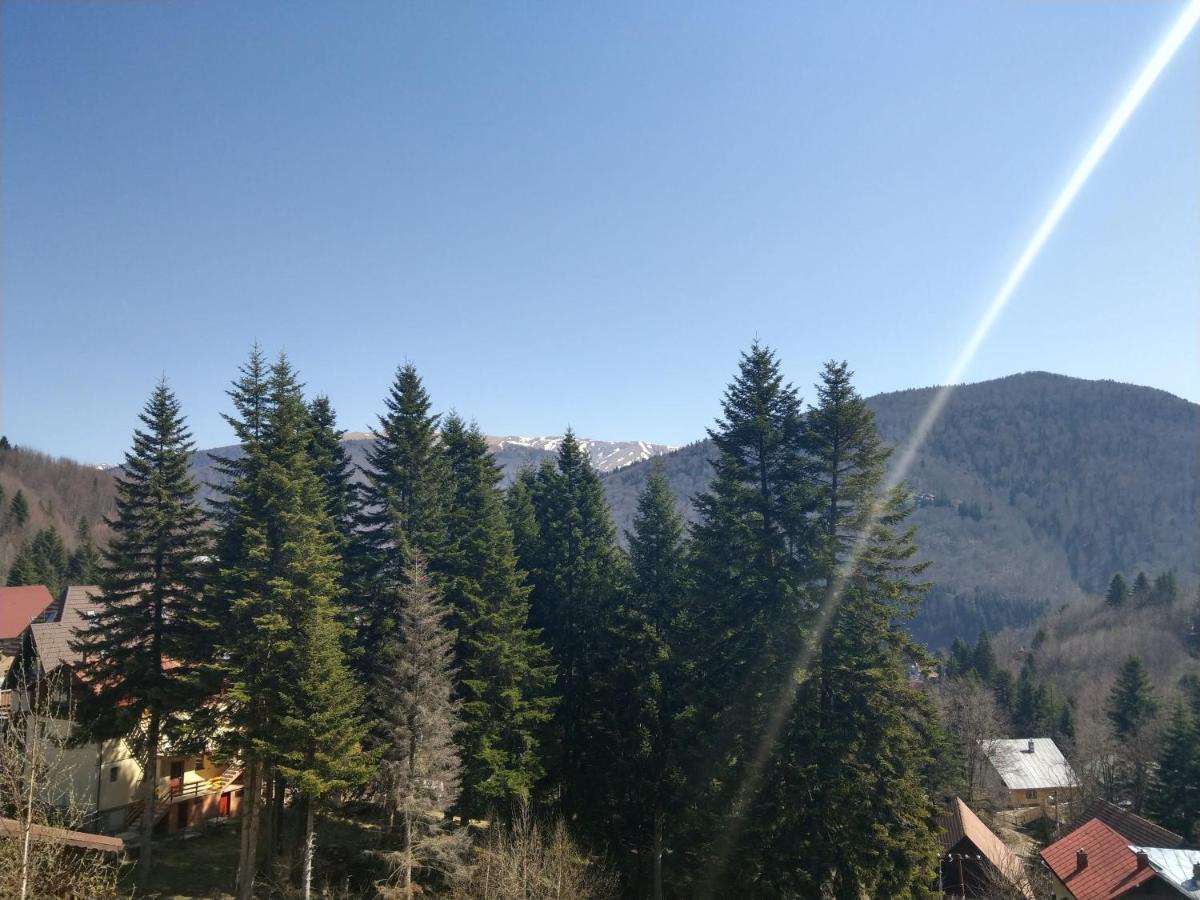 Grandpa'S Hidden Crib, 6 Bedroom, Pet Friendly Sinaia Exterior photo