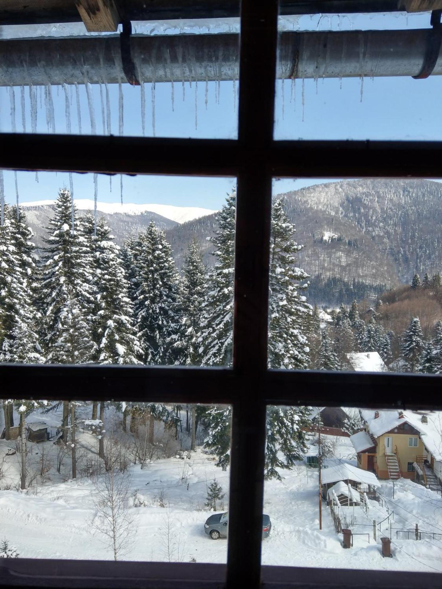 Grandpa'S Hidden Crib, 6 Bedroom, Pet Friendly Sinaia Exterior photo
