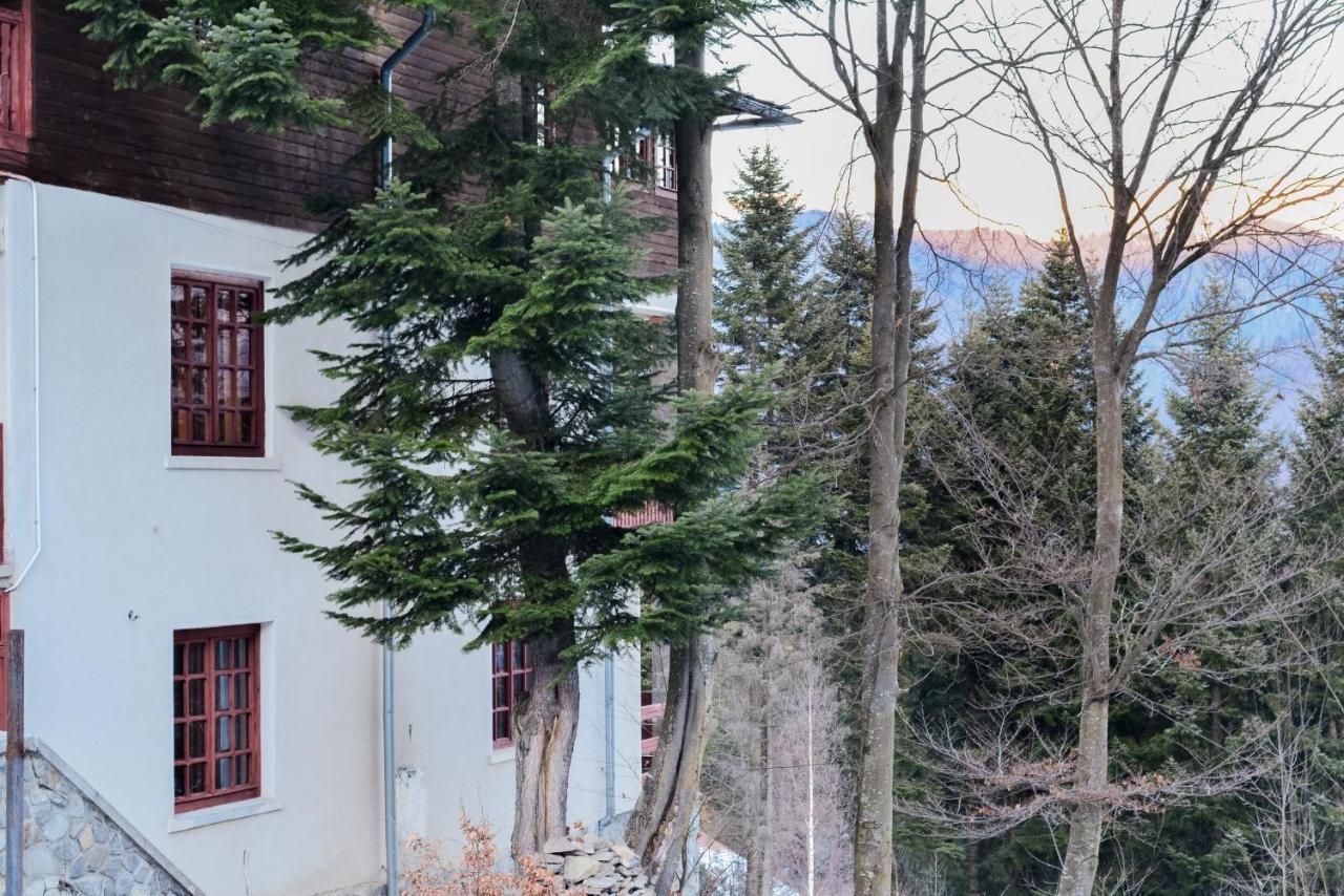 Grandpa'S Hidden Crib, 6 Bedroom, Pet Friendly Sinaia Exterior photo
